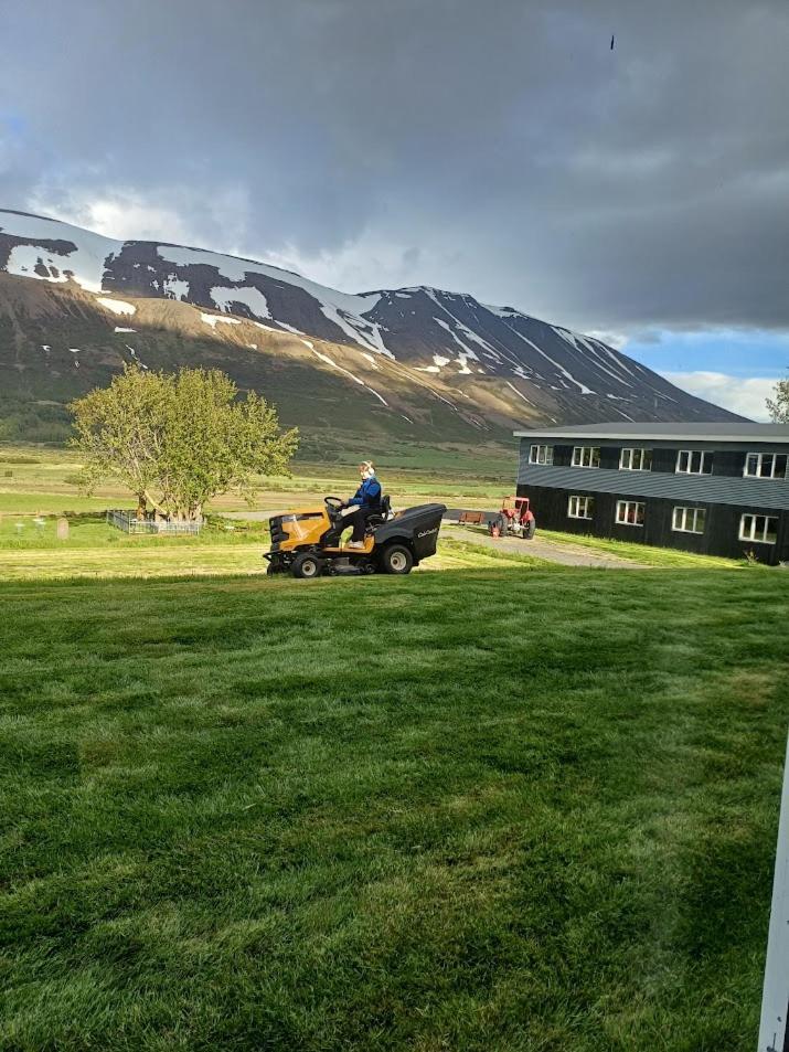 Draflastadir Guesthouse Draflastaðir Dış mekan fotoğraf